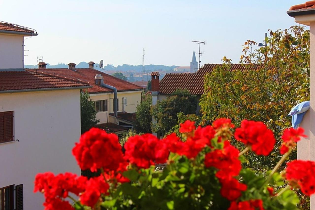 Ruzica Porec